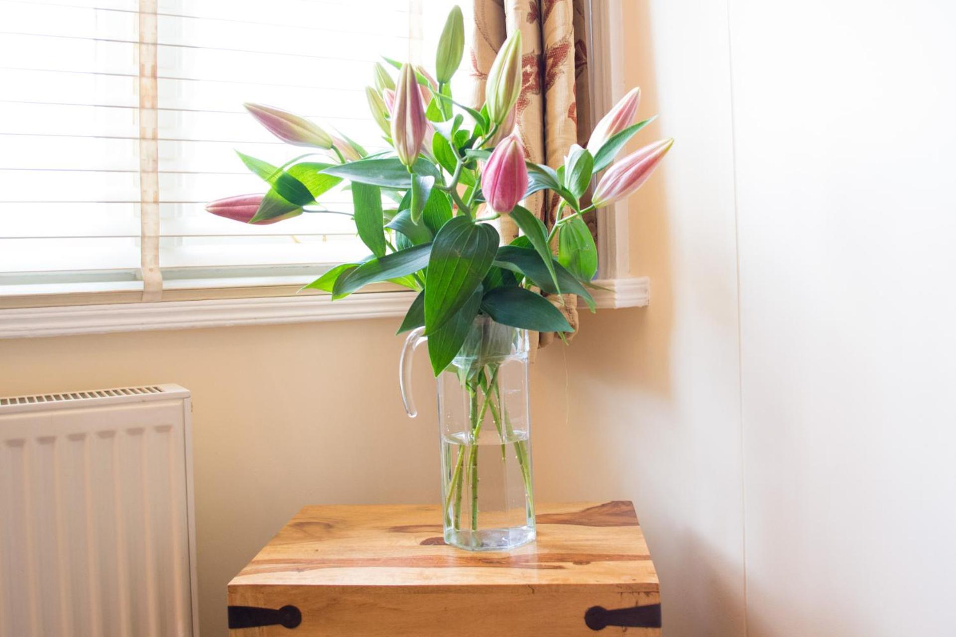 Host & Stay - York Terrace Apartments Norwich Ngoại thất bức ảnh